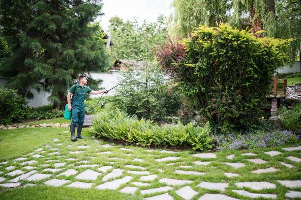 Best Lawn Watering Services  in Lake Los Angeles, CA